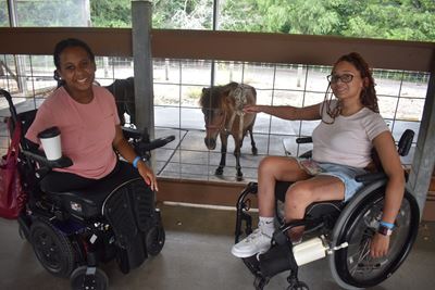 6E90030c 1Ab7 4D01 9743 D531cbef1cce 1 105 C